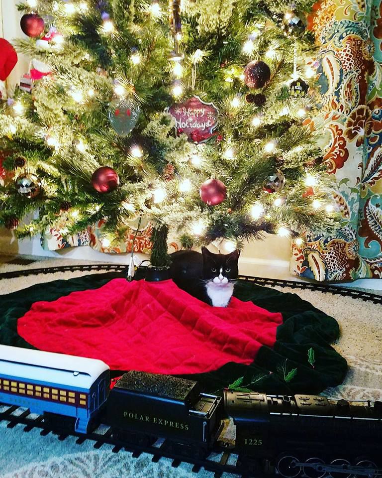Happy holidays!